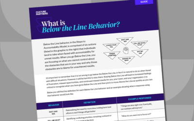 What is Below the Line® Behavior?