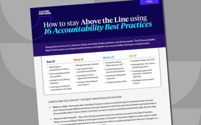 How Do You Stay Above the Line Using the 16 Accountability Best Practices?