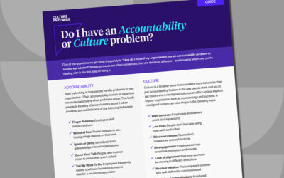 Do I have an Accountability Problem or a Culture Problem? 