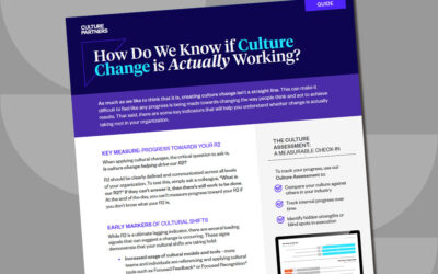 How Do We Know if Culture Change is Actually Working?