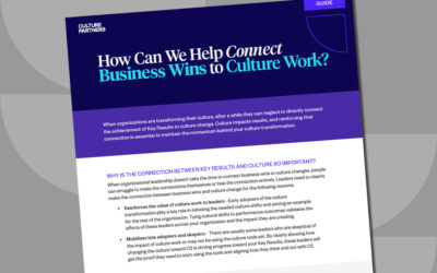 How Can We Help Connect Business Wins to Culture Work?