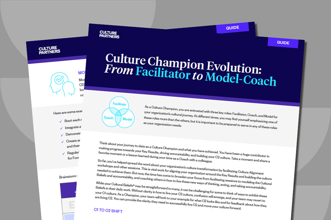 SOSD - See It: Action Guide